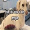 not too fond of cis
people