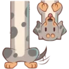 Perro Rum Rum💞1🇵🇪Clásica 8