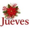 ABC 🌺 POINSETTIA LOWER CASE LETTERS 11