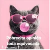 Pobrecita opinión toda equivocada Chantillin