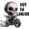 Esqueletos lindos 1 💀 🇲🇽 10