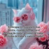 Ya recapacite, la vida es mas bonita, cuando no esperas el mensaje de nadie, acciones de nadie, actitudes de nadie y nada de nadie!!