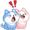 Gatitos💞18🇵🇪Clásica 9
