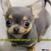 Mix Bib🧸֍2🇲🇽Clásica 6
