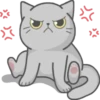 Cat Fullmoon 11