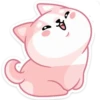 Gatitos💞18🇵🇪Clásica 10