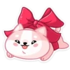 Gatitos💞18🇵🇪Clásica 11