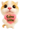 Єstre Llita