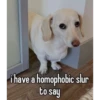 i have a homophobic slur
to say