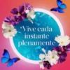 'Vive cada instante plenamente
