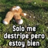 Solo me destripe pero estoy bien