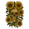 Skulls❥☯︎ͫ4🇲🇽Clásica 8