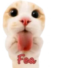 Fea