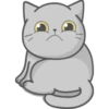 Cat Fullmoon 13