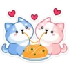 Gatitos💞18🇵🇪Clásica 14