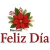 ABC 🌺 POINSETTIA LOWER CASE LETTERS 13