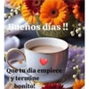 FLORES HERMOSAS 13