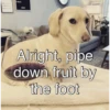 LEVE
SELTZ
Alright, pipe
down fruit by
the foot