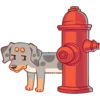 Perro Rum Rum💞1🇵🇪Clásica 15