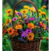 FLORES HERMOSAS 16