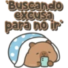 Capybara cute 🤎🐾 13