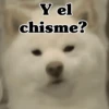 Y el chisme?