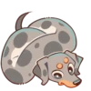 Perro Rum Rum💞1🇵🇪Clásica 16