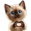 Animalitos Corazón 2 ❤ 🐕 🇲🇽 16