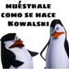 Kowalski opciones 16