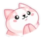 Gatitos💞18🇵🇪Clásica 17