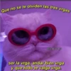 Que no se te olviden las tres vrgas ser la vrga, andar bien vrga y que todo te valga vrga.