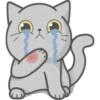 Cat Fullmoon 15