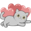 Cat Fullmoon 16