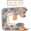 Perro Rum Rum💞1🇵🇪Clásica 18