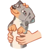 Perro Rum Rum💞1🇵🇪Clásica 19