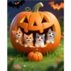 💥Ggc🎃 Halloween 3🎃💥 17