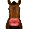 Surtiditos💞29🇵🇪Clásica 19