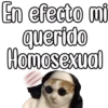 En efecto mi
querido
Homosexual