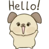 Hello!