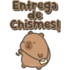 Capybara cute 🤎🐾 16