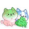 Gatitos💞18🇵🇪Clásica 19