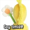 Soy timide