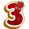 CHRISTMAS NUMBERS POINSETTIA 15