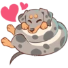 Perro Rum Rum💞1🇵🇪Clásica 21