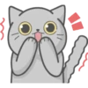 Cat Fullmoon 19
