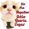 No Me Regañes Sólo Queria Jugar