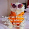 Ni que fuera beca de gobierno, para andar dando segundas oportunidades.
