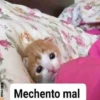 Mix Bib🧸֍2🇲🇽Clásica 12