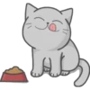 Cat Fullmoon 20