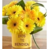 FLORES HERMOSAS 21